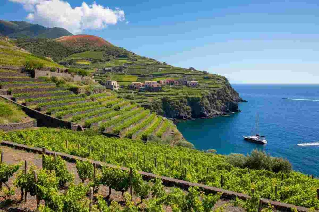 Scopri il tesoro nascosto del vino delle isole italiane