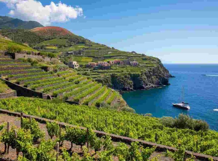 Scopri il tesoro nascosto del vino delle isole italiane