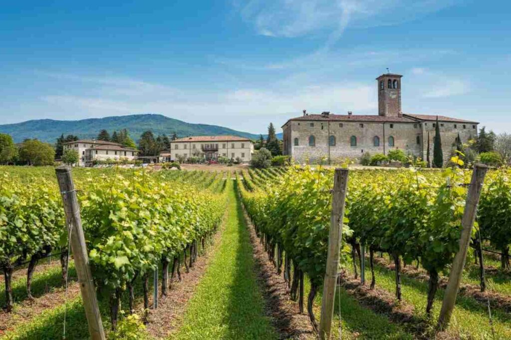 Scopri l'arte e la musica al Cantine Aperte 2025 di Carpenè Malvolti con un brindisi di Prosecco