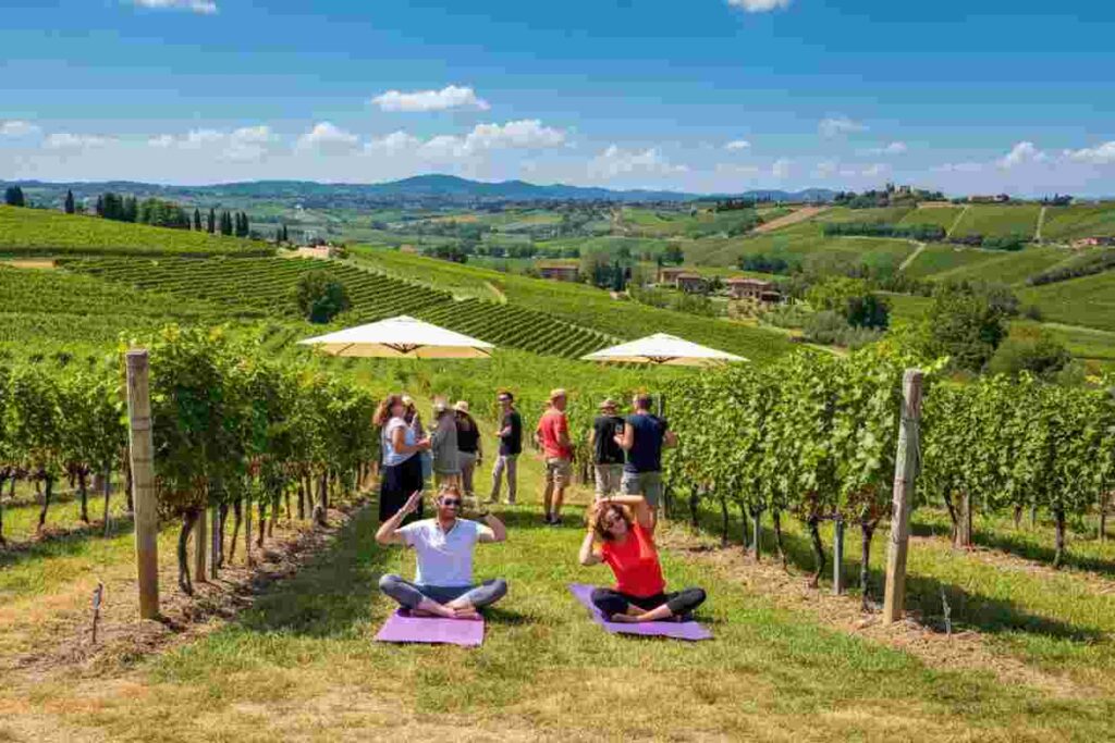 Scopri le meraviglie dell'enoturismo 2025 con Cantine Aperte: un weekend di trekking, mini-lezioni e assaggi in vigna