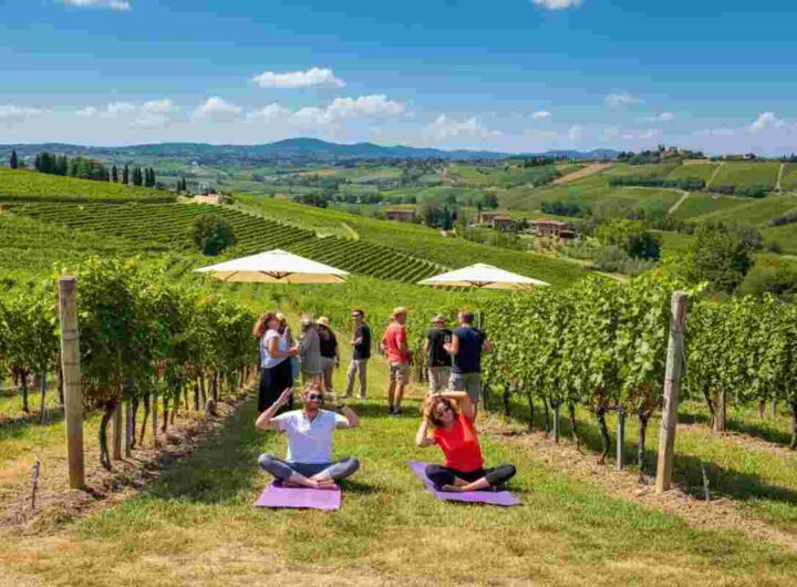 Scopri le meraviglie dell'enoturismo 2025 con Cantine Aperte: un weekend di trekking, mini-lezioni e assaggi in vigna