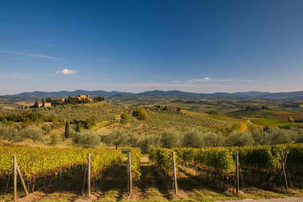 Scoprire il Chianti: un'opportunità unica per specializzarsi nella gestione delle risorse culturali