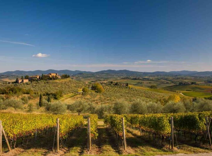 Scoprire il Chianti: un'opportunità unica per specializzarsi nella gestione delle risorse culturali
