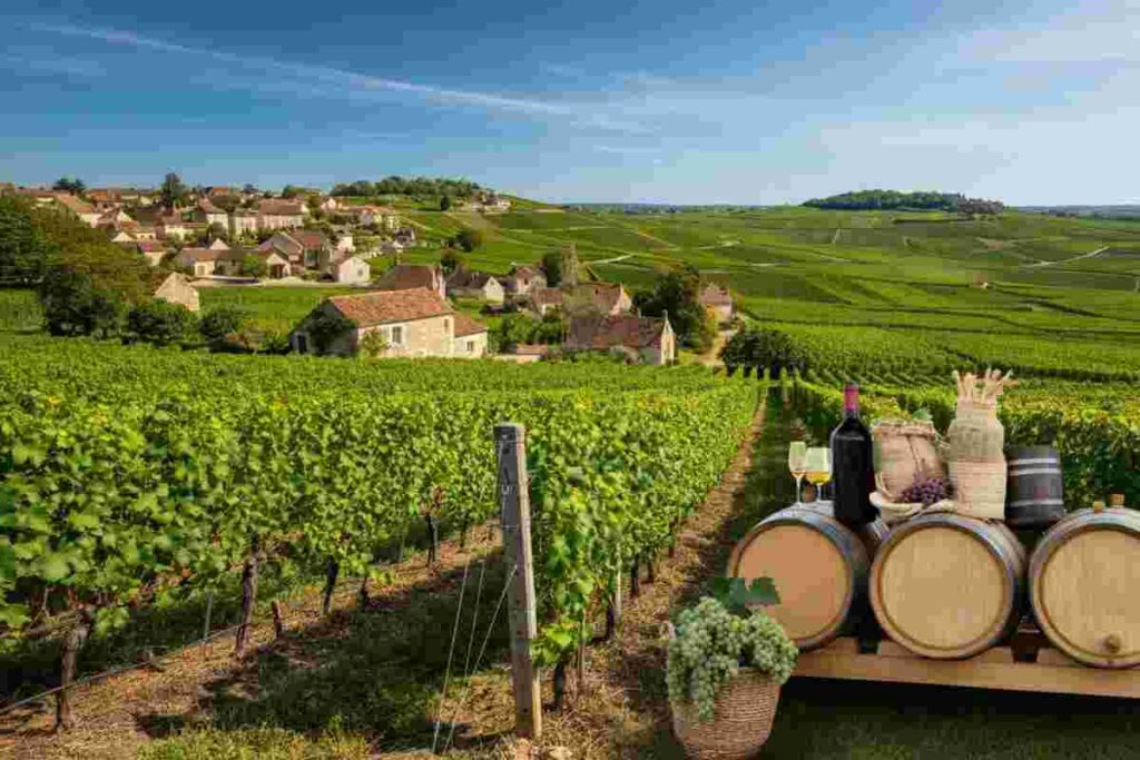 Scoprire la magia della Côte d’Or: un tour indimenticabile in Borgogna