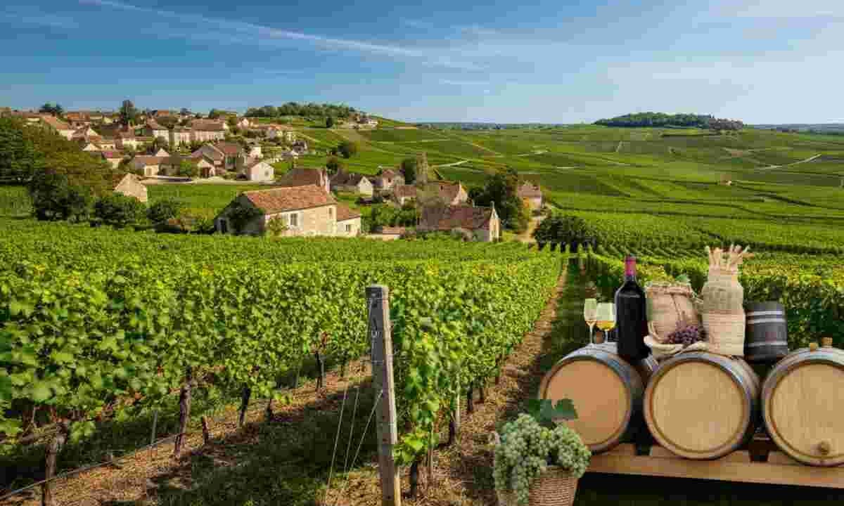 Scoprire la magia della Côte d’Or: un tour indimenticabile in Borgogna