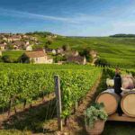 Scoprire la magia della Côte d’Or: un tour indimenticabile in Borgogna
