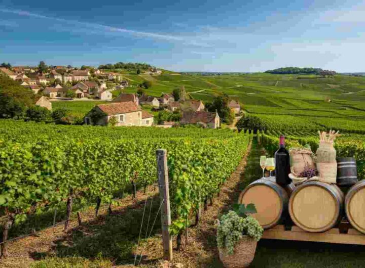 Scoprire la magia della Côte d’Or: un tour indimenticabile in Borgogna