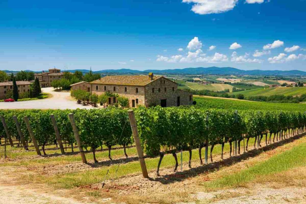 Talosa e il progetto Le Pievi: il futuro del Vino Nobile di Montepulciano si fa strada