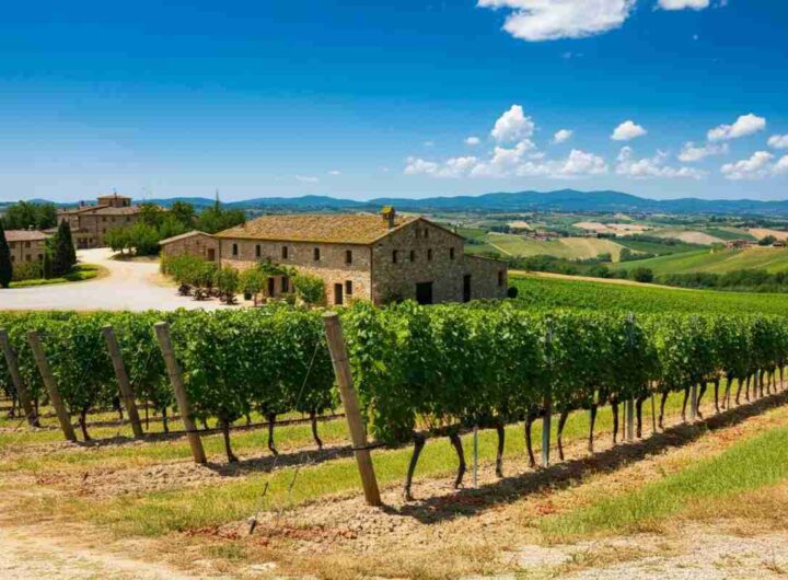 Talosa e il progetto Le Pievi: il futuro del Vino Nobile di Montepulciano si fa strada
