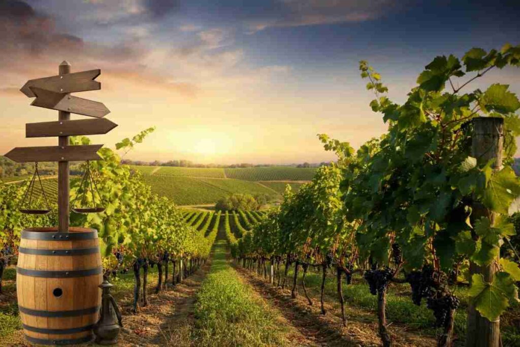 Uiv si oppone alla proposta francese sul prezzo del vino consigliato