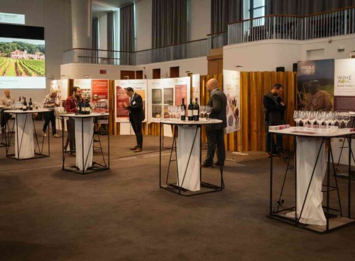 Un futuro innovativo per il vino: scopri “Envisioning2035 Wine (R)evolution”