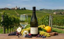 Una bottiglia di Verdicchio di Matelica