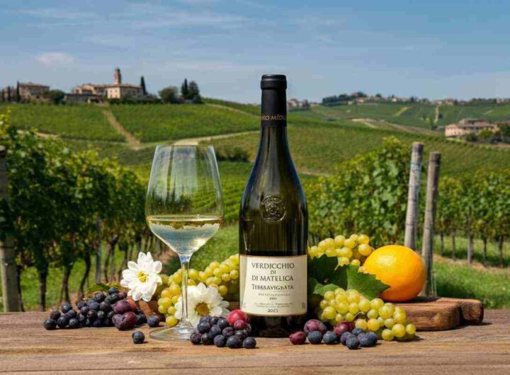 Una bottiglia di Verdicchio di Matelica