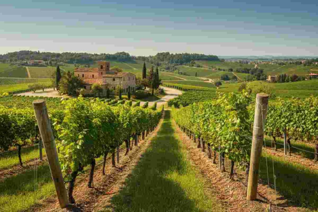 Villa Vitas: il vino friulano racconta storie uniche