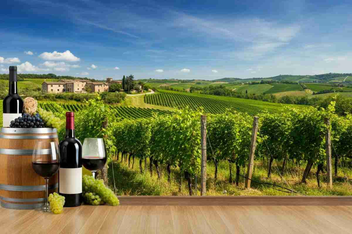Vino delle Marche: boom di export e aumento dei prezzi nel 2024
