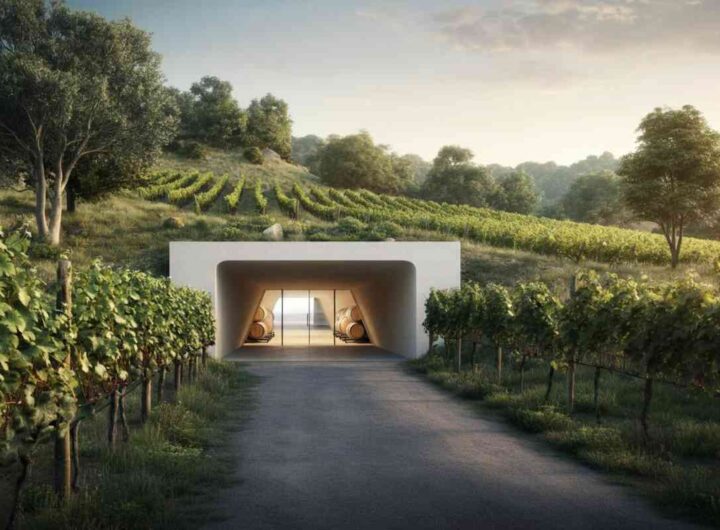 Vino e paesaggio: l'incanto delle cantine sotterranee e dell'architettura invisibile