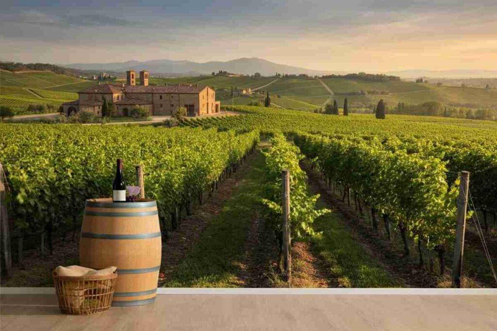 Vino italiano in crisi: analisi del mercato nel primo trimestre 2025