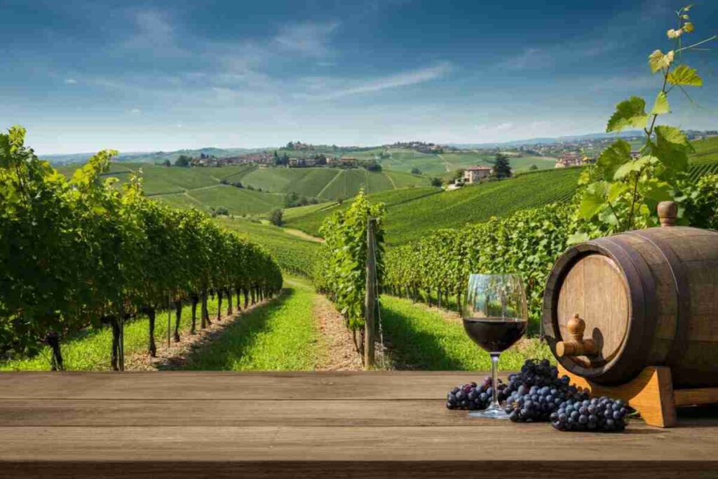 Vino italiano in crisi: l'export nei mercati extra-UE crolla del 9% nel primo trimestre del 2025