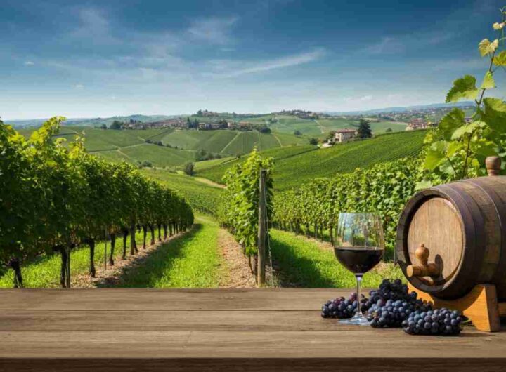Vino italiano in crisi: l'export nei mercati extra-UE crolla del 9% nel primo trimestre del 2025