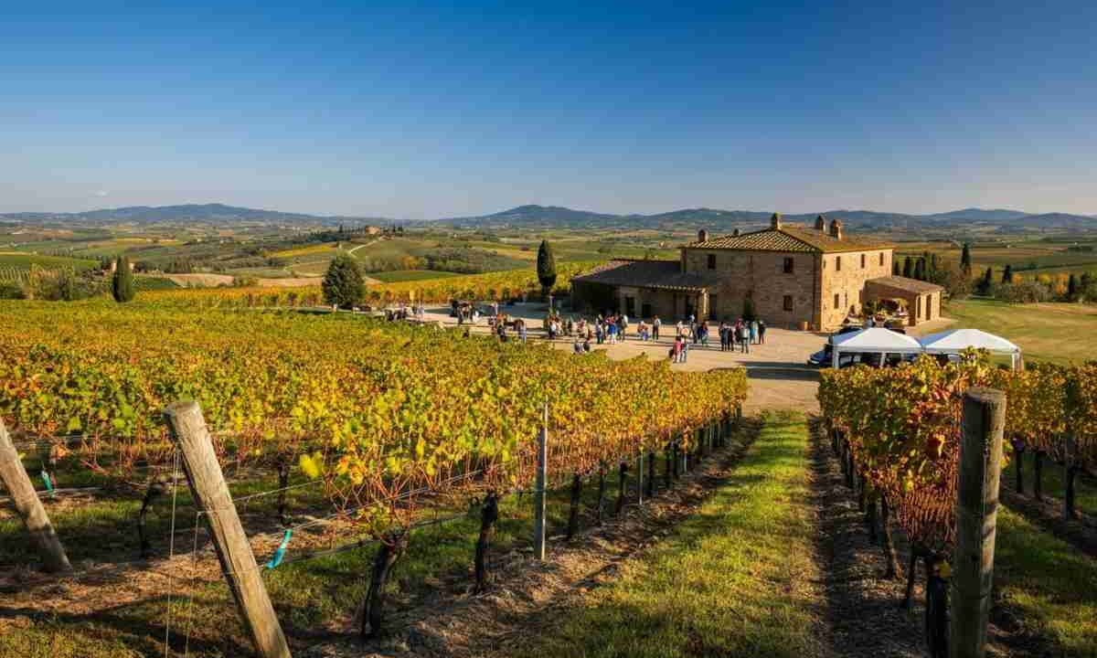 Zamperini riconfermata alla guida del Consorzio Vino Orcia: un futuro promettente per il vino toscano
