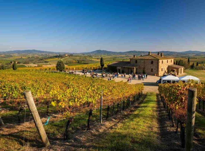 Zamperini riconfermata alla guida del Consorzio Vino Orcia: un futuro promettente per il vino toscano