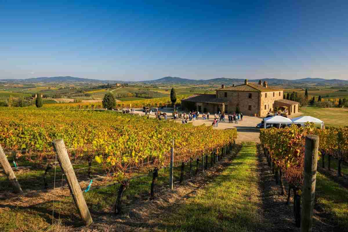 Zamperini riconfermata alla guida del Consorzio Vino Orcia: un futuro promettente per il vino toscano