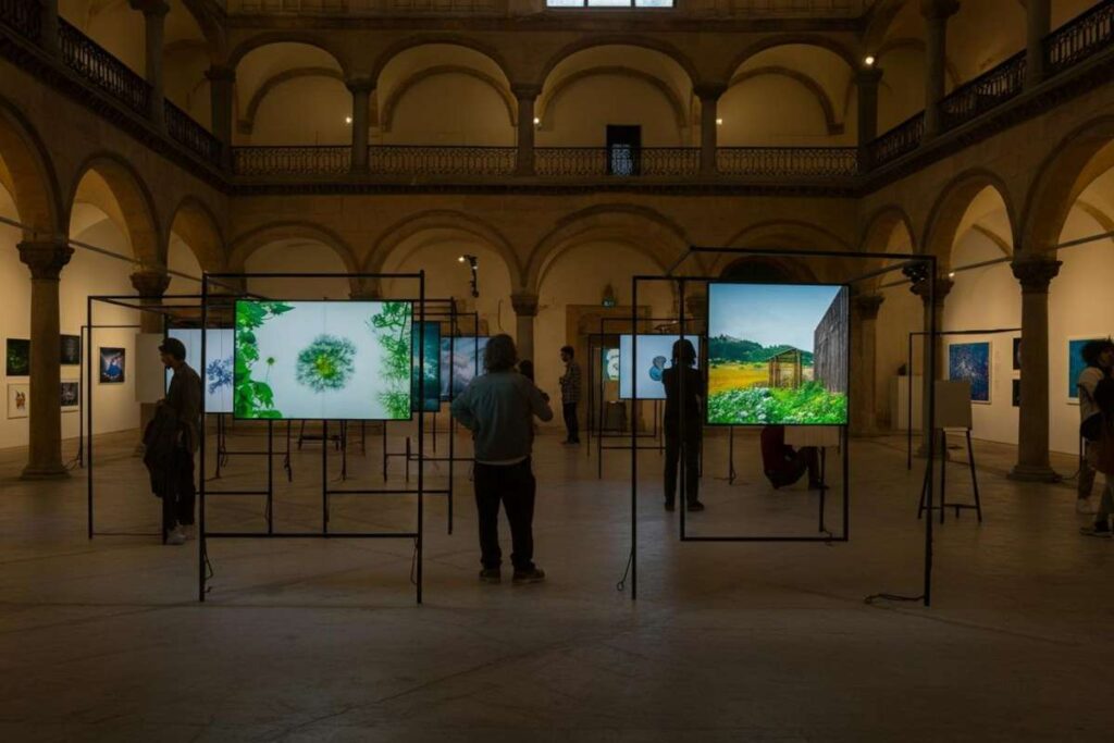 Zenato Academy presenta “Ai Confini dell’Iconografia”: un viaggio artistico con 13 talenti globali a Venezia