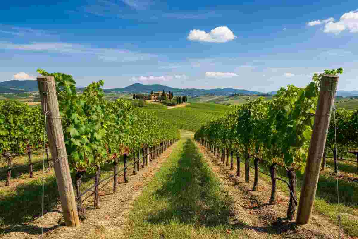 25 anni di Consorzio Montecucco: come un sogno ha trasformato un territorio