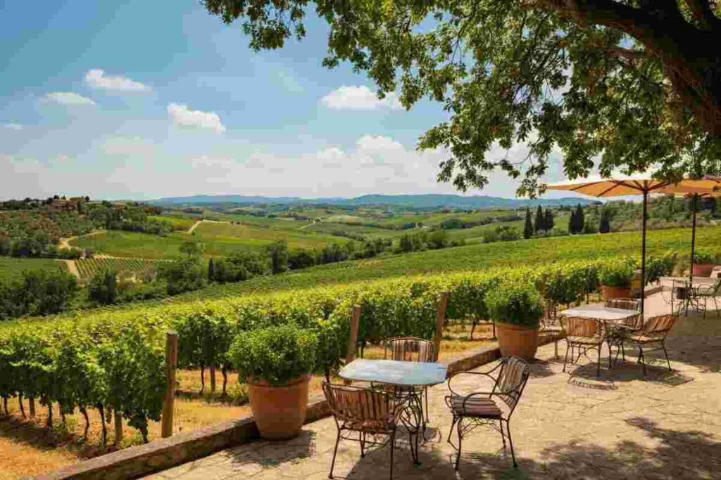 Ampeleia festeggia 20 anni di Cabernet Franc con l'arrivo di due esclusivi Cru