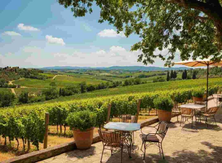 Ampeleia festeggia 20 anni di Cabernet Franc con l'arrivo di due esclusivi Cru