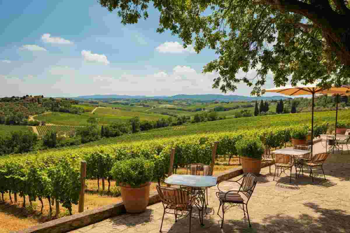 Ampeleia festeggia 20 anni di Cabernet Franc con l'arrivo di due esclusivi Cru