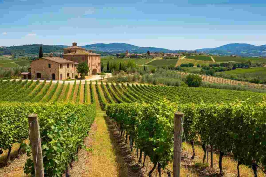 Bartolommei: nuovi orizzonti per il Consorzio Brunello di Montalcino