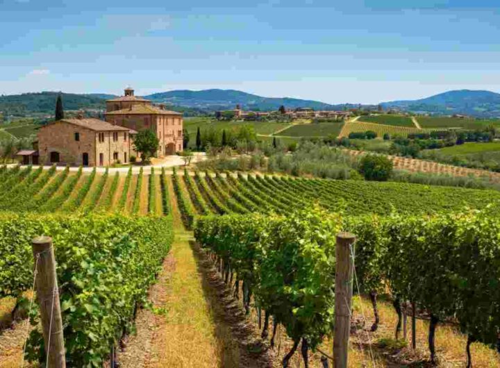 Bartolommei: nuovi orizzonti per il Consorzio Brunello di Montalcino