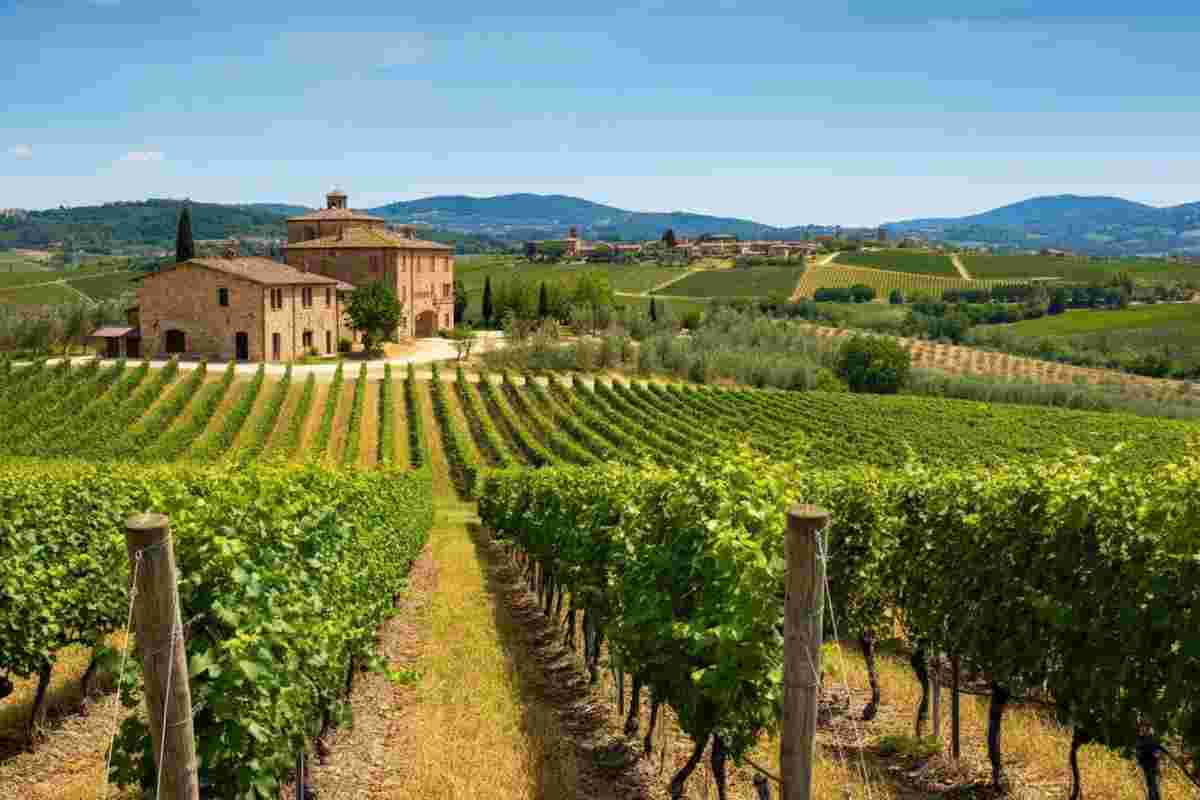 Bartolommei: nuovi orizzonti per il Consorzio Brunello di Montalcino