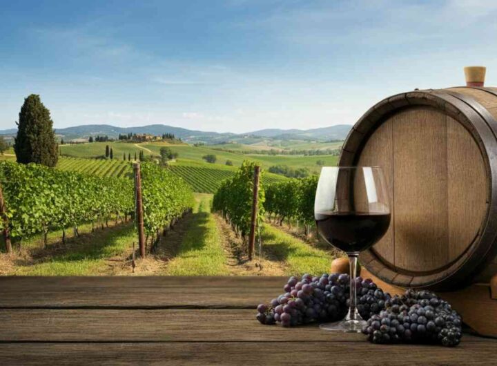 Benjamin Franchetti svela le nuove annate della Tenuta di Trinoro: un viaggio nel gusto