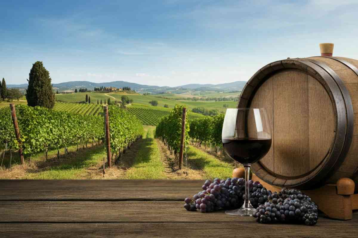 Benjamin Franchetti svela le nuove annate della Tenuta di Trinoro: un viaggio nel gusto