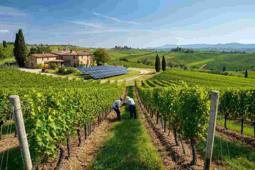 Cantina Tollo fa la storia con la certificazione Equalitas
