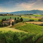 Confagricoltura Toscana lancia un appello per i rimborsi 2023 contro la peronospora