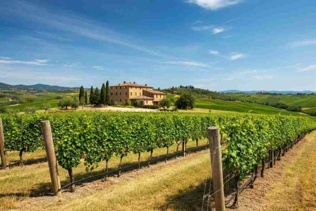 Conti Capponi e la Linea 1524: alla scoperta del lato nascosto di Villa Calcinaia