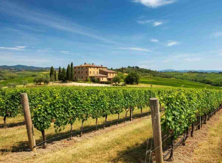 Conti Capponi e la Linea 1524: alla scoperta del lato nascosto di Villa Calcinaia