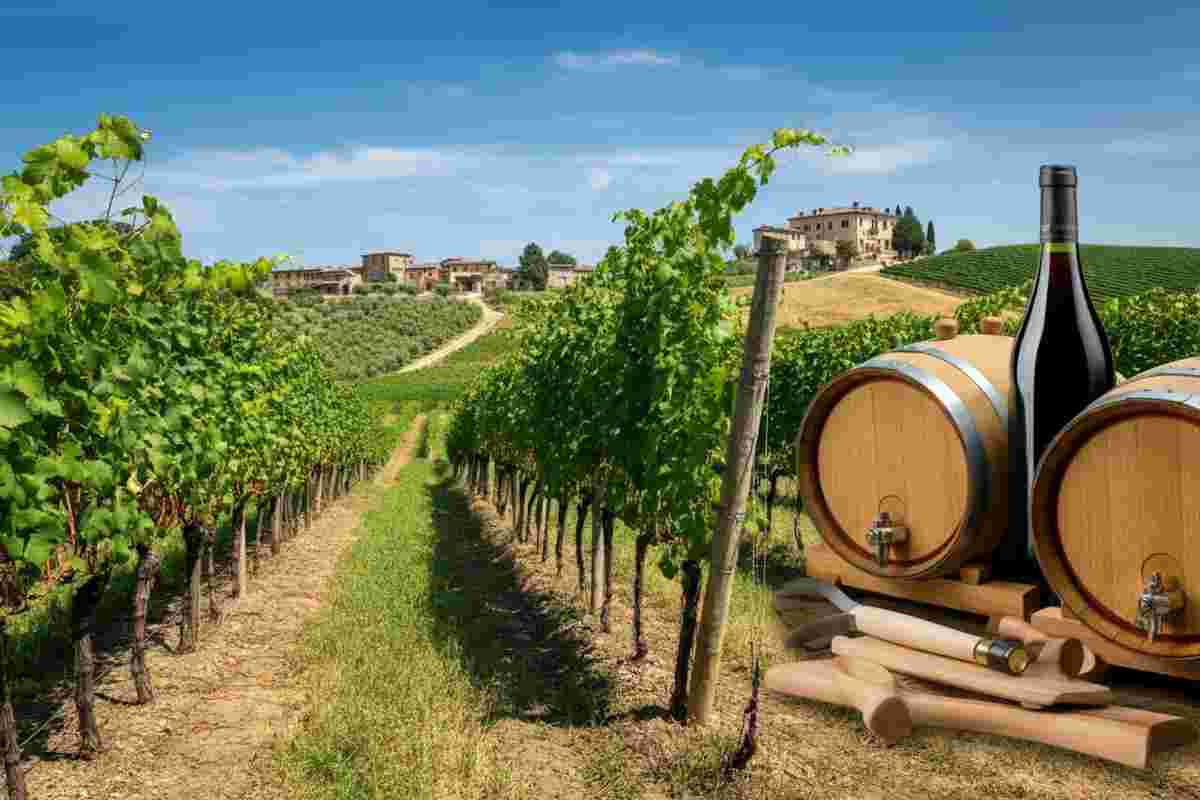 Custodi del Lambrusco: la rinascita del vino emiliano attraverso un nuovo manifesto