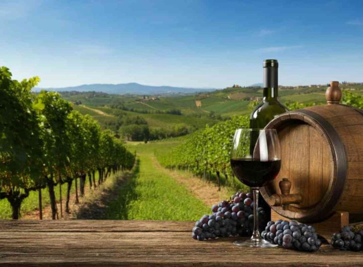 Dazi Usa sul vino italiano: cosa è emerso dopo il primo mese di impatti