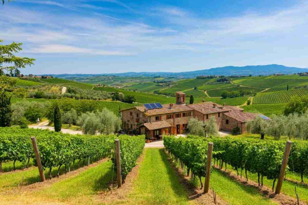 Dieci anni di Tenimenti Leone: un viaggio tra tradizione e innovazione
