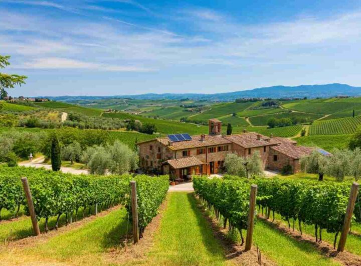 Dieci anni di Tenimenti Leone: un viaggio tra tradizione e innovazione