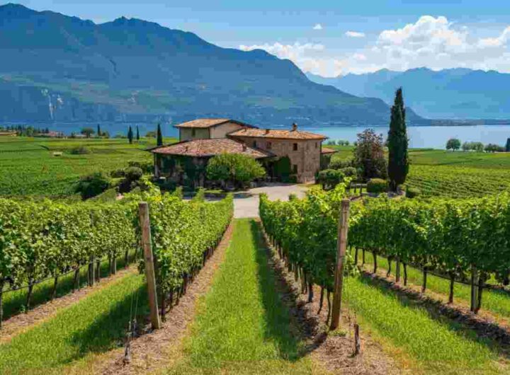Doc Garda: il fascino di un nome, il vantaggio del minor alcol e il futuro dell'enoturismo