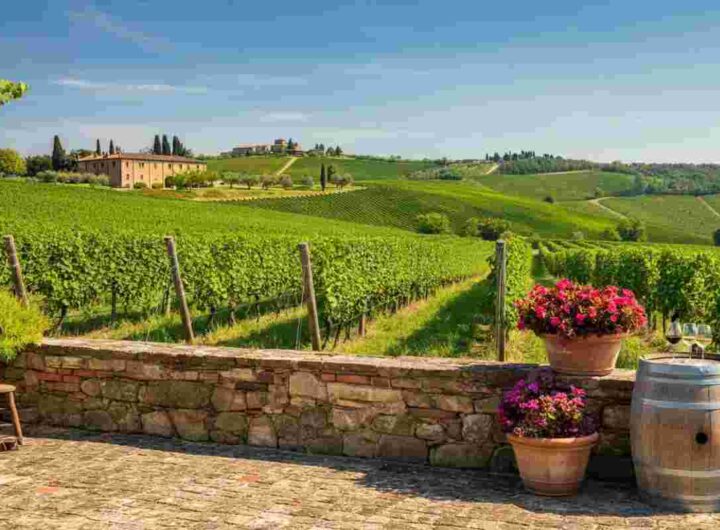 Enoturismo in Italia: 7 turisti su 10 scelgono cantine per un'esperienza completa di cibo e relax