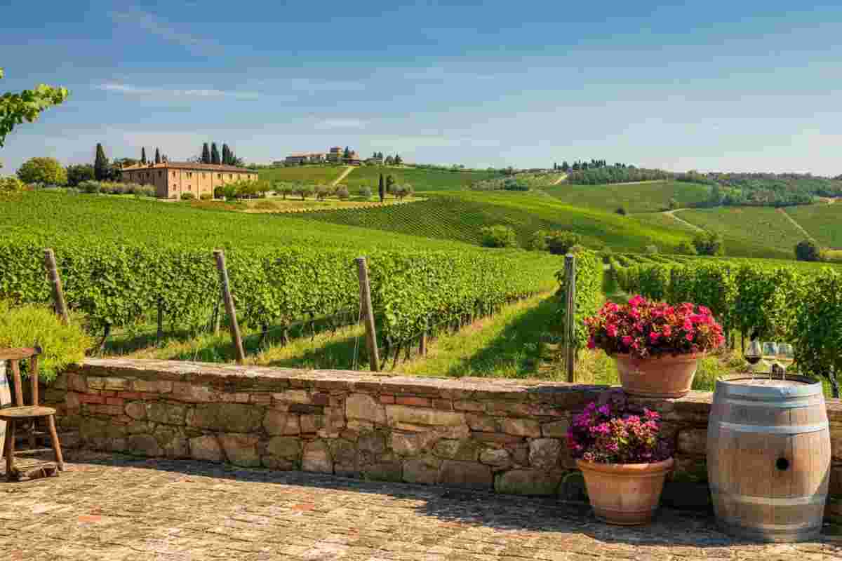 Enoturismo in Italia: 7 turisti su 10 scelgono cantine per un'esperienza completa di cibo e relax