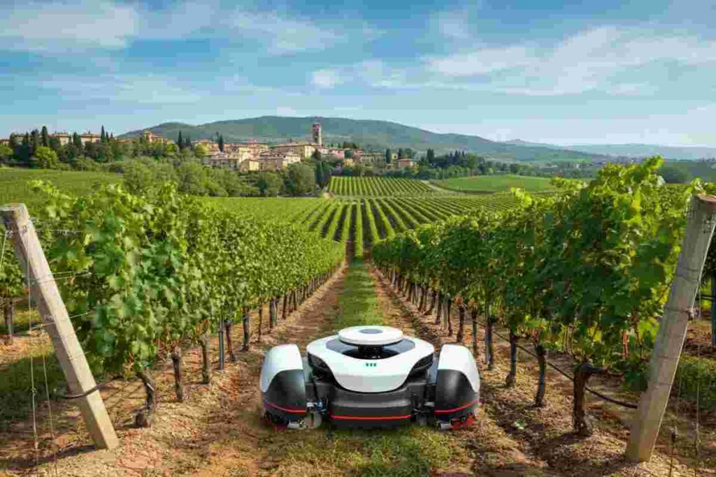 Enovitis in Campo 2025: scopri i vincitori dell'Innovation Challenge