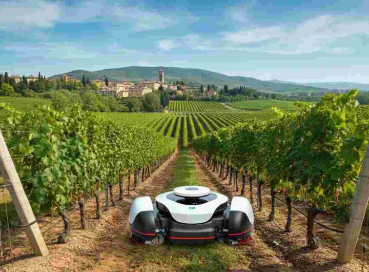 Enovitis in Campo 2025: scopri i vincitori dell'Innovation Challenge