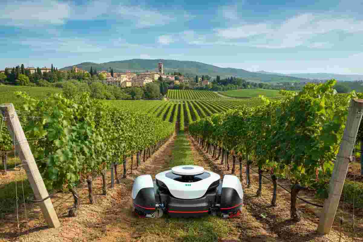 Enovitis in Campo 2025: scopri i vincitori dell'Innovation Challenge